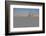 View across Naqsh-e (Imam) Square, UNESCO World Heritage Site, from Ali Qapu Palace opposite Sheikh-James Strachan-Framed Photographic Print