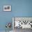 View across Plaza Mayor Towards Museo Romantico-Lee Frost-Framed Photographic Print displayed on a wall