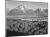 View Across River Valley Toward "Mount Moran" Grand Teton, National Park Wyoming. 1933-1942-Ansel Adams-Mounted Art Print
