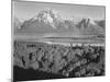 View Across River Valley Toward "Mount Moran" Grand Teton, National Park Wyoming. 1933-1942-Ansel Adams-Mounted Premium Giclee Print