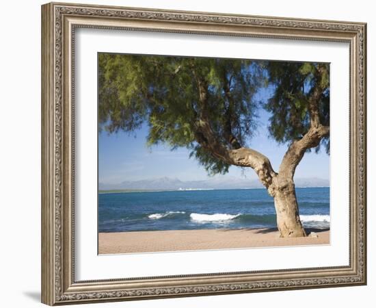 View across the Bay of Alcudia from Seafront Promenade, Colonia De Sant Pere, Near Arta, Mallorca,-Ruth Tomlinson-Framed Photographic Print