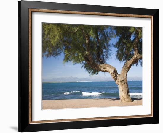 View across the Bay of Alcudia from Seafront Promenade, Colonia De Sant Pere, Near Arta, Mallorca,-Ruth Tomlinson-Framed Photographic Print