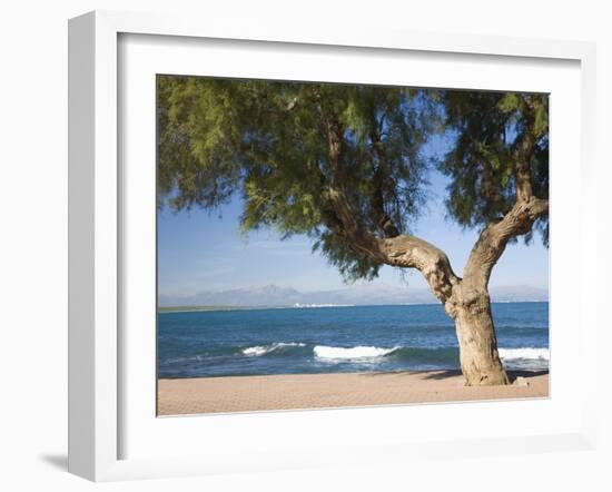 View across the Bay of Alcudia from Seafront Promenade, Colonia De Sant Pere, Near Arta, Mallorca,-Ruth Tomlinson-Framed Photographic Print