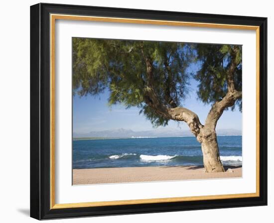 View across the Bay of Alcudia from Seafront Promenade, Colonia De Sant Pere, Near Arta, Mallorca,-Ruth Tomlinson-Framed Photographic Print