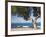 View across the Bay of Alcudia from Seafront Promenade, Colonia De Sant Pere, Near Arta, Mallorca,-Ruth Tomlinson-Framed Photographic Print