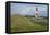 View across the Dunes Covered with Crowberries Towards Hšrnum Lighthouse on the Island of Sylt-Uwe Steffens-Framed Premier Image Canvas