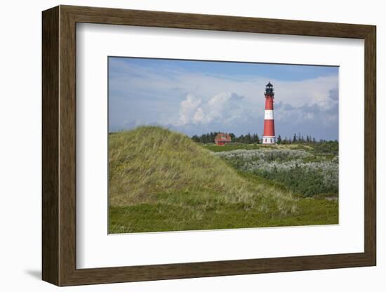 View across the Dunes Covered with Crowberries Towards Hšrnum Lighthouse on the Island of Sylt-Uwe Steffens-Framed Photographic Print