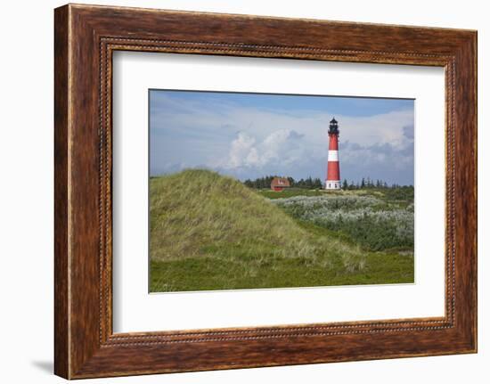 View across the Dunes Covered with Crowberries Towards Hšrnum Lighthouse on the Island of Sylt-Uwe Steffens-Framed Photographic Print