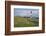 View across the Dunes Covered with Crowberries Towards Hšrnum Lighthouse on the Island of Sylt-Uwe Steffens-Framed Photographic Print