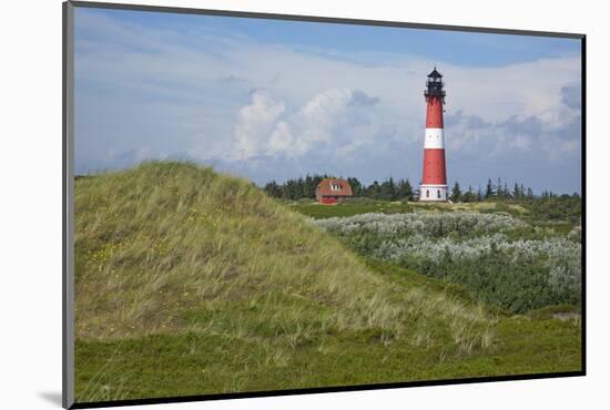 View across the Dunes Covered with Crowberries Towards Hšrnum Lighthouse on the Island of Sylt-Uwe Steffens-Mounted Photographic Print
