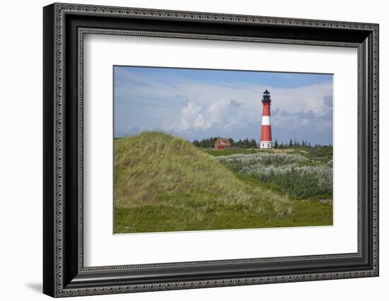 View across the Dunes Covered with Crowberries Towards Hšrnum Lighthouse on the Island of Sylt-Uwe Steffens-Framed Photographic Print