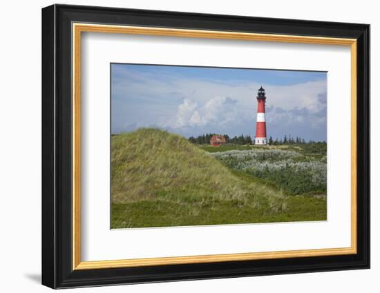 View across the Dunes Covered with Crowberries Towards Hšrnum Lighthouse on the Island of Sylt-Uwe Steffens-Framed Photographic Print