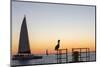 View across the Gulf of Mexico, sunset, brown pelican prominent, Mallory Square-David Tomlinson-Mounted Photographic Print