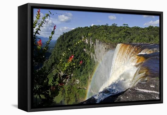 View across the Rim of Kaieteur Falls, Guyana, South America-Mick Baines & Maren Reichelt-Framed Premier Image Canvas