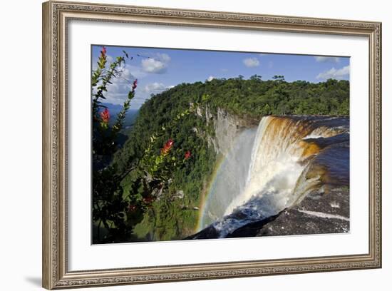 View across the Rim of Kaieteur Falls, Guyana, South America-Mick Baines & Maren Reichelt-Framed Photographic Print