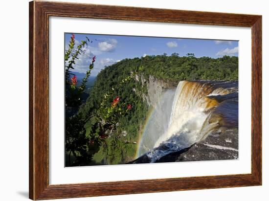 View across the Rim of Kaieteur Falls, Guyana, South America-Mick Baines & Maren Reichelt-Framed Photographic Print