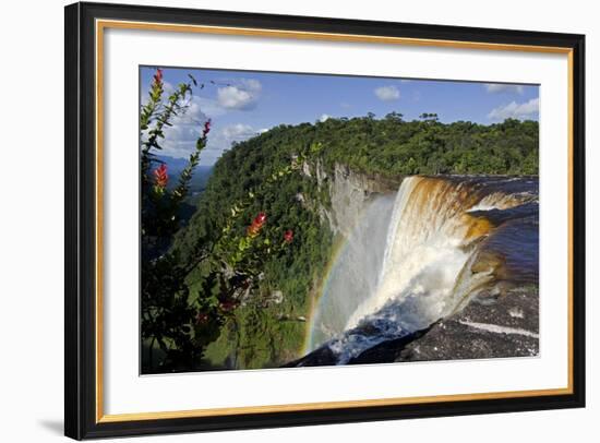 View across the Rim of Kaieteur Falls, Guyana, South America-Mick Baines & Maren Reichelt-Framed Photographic Print