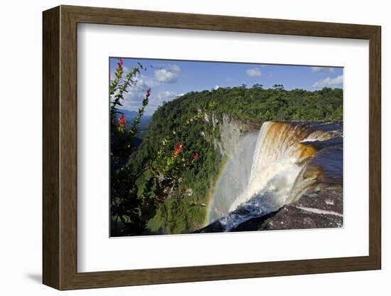 View across the Rim of Kaieteur Falls, Guyana, South America-Mick Baines & Maren Reichelt-Framed Photographic Print