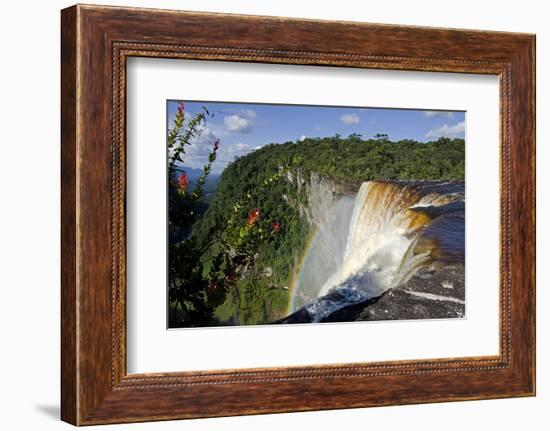 View across the Rim of Kaieteur Falls, Guyana, South America-Mick Baines & Maren Reichelt-Framed Photographic Print