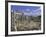 View Across the Roman Forum, Rome, Lazio, Italy, Europe-John Miller-Framed Photographic Print