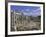 View Across the Roman Forum, Rome, Lazio, Italy, Europe-John Miller-Framed Photographic Print