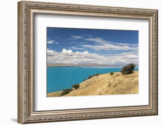 View across the turquoise waters of Lake Pukaki, near Twizel, Mackenzie district, Canterbury, South-Ruth Tomlinson-Framed Photographic Print