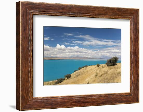 View across the turquoise waters of Lake Pukaki, near Twizel, Mackenzie district, Canterbury, South-Ruth Tomlinson-Framed Photographic Print