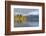 View across tranquil Lake Wanaka, autumn, Roys Bay, Wanaka, Queenstown-Lakes district, Otago, South-Ruth Tomlinson-Framed Photographic Print