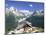 View Across Valley to the Mer De Glace and Mountains, La Flegere, Chamonix, French Alps, France-Ruth Tomlinson-Mounted Photographic Print