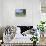 View across Waikawa Bay, an arm of Queen Charlotte Sound (Marlborough Sounds), Waikawa, near Picton-Ruth Tomlinson-Photographic Print displayed on a wall