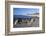 View Along Beach, Gammel Skagen, Jutland, Denmark, Scandinavia, Europe-Stuart Black-Framed Photographic Print