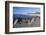 View Along Beach, Gammel Skagen, Jutland, Denmark, Scandinavia, Europe-Stuart Black-Framed Photographic Print