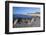 View Along Beach, Gammel Skagen, Jutland, Denmark, Scandinavia, Europe-Stuart Black-Framed Photographic Print