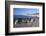 View Along Beach, Gammel Skagen, Jutland, Denmark, Scandinavia, Europe-Stuart Black-Framed Photographic Print