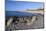 View Along Beach, Gammel Skagen, Jutland, Denmark, Scandinavia, Europe-Stuart Black-Mounted Photographic Print