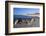 View Along Beach, Gammel Skagen, Jutland, Denmark, Scandinavia, Europe-Stuart Black-Framed Photographic Print