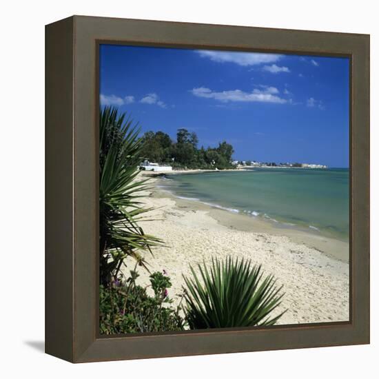 View Along Beach to the Medina from the Sindbad Hotel, Hammamet, Cap Bon, Tunisia, North Africa, Af-Stuart Black-Framed Premier Image Canvas