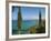 View Along Chrysochou Bay on North West Coast, Near Latsi, Cyprus, Mediterranean, Europe-Stuart Black-Framed Photographic Print