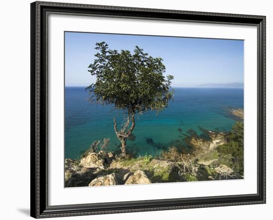 View Along Chrysochou Bay on North West Coast, Near Latsi, Cyprus, Mediterranean, Europe-Stuart Black-Framed Photographic Print