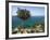 View Along Chrysochou Bay on North West Coast, Near Latsi, Cyprus, Mediterranean, Europe-Stuart Black-Framed Photographic Print