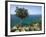 View Along Chrysochou Bay on North West Coast, Near Latsi, Cyprus, Mediterranean, Europe-Stuart Black-Framed Photographic Print