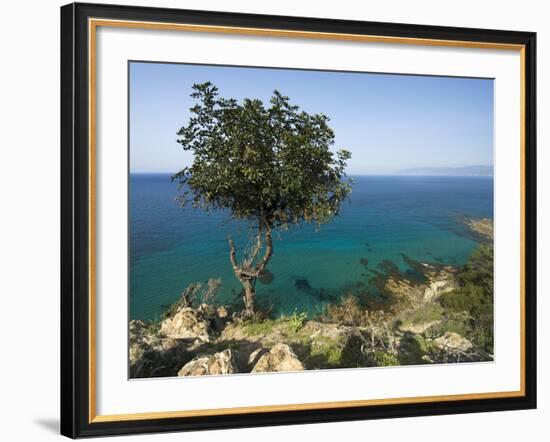 View Along Chrysochou Bay on North West Coast, Near Latsi, Cyprus, Mediterranean, Europe-Stuart Black-Framed Photographic Print