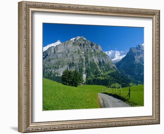 View Along Path Through Fields to the Schreckhorn and Fiescherhorner, Swiss Alps, Switzerland-Ruth Tomlinson-Framed Photographic Print