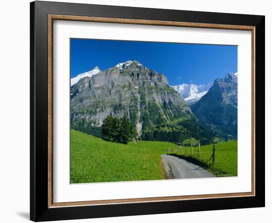 View Along Path Through Fields to the Schreckhorn and Fiescherhorner, Swiss Alps, Switzerland-Ruth Tomlinson-Framed Photographic Print