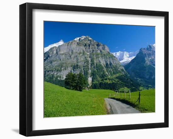 View Along Path Through Fields to the Schreckhorn and Fiescherhorner, Swiss Alps, Switzerland-Ruth Tomlinson-Framed Photographic Print