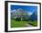 View Along Path Through Fields to the Schreckhorn and Fiescherhorner, Swiss Alps, Switzerland-Ruth Tomlinson-Framed Photographic Print