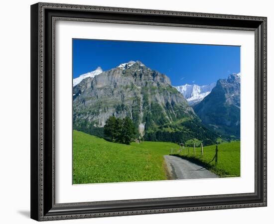 View Along Path Through Fields to the Schreckhorn and Fiescherhorner, Swiss Alps, Switzerland-Ruth Tomlinson-Framed Photographic Print