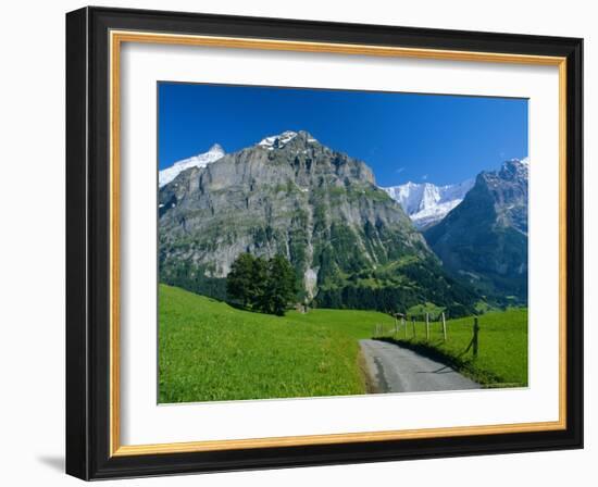 View Along Path Through Fields to the Schreckhorn and Fiescherhorner, Swiss Alps, Switzerland-Ruth Tomlinson-Framed Photographic Print