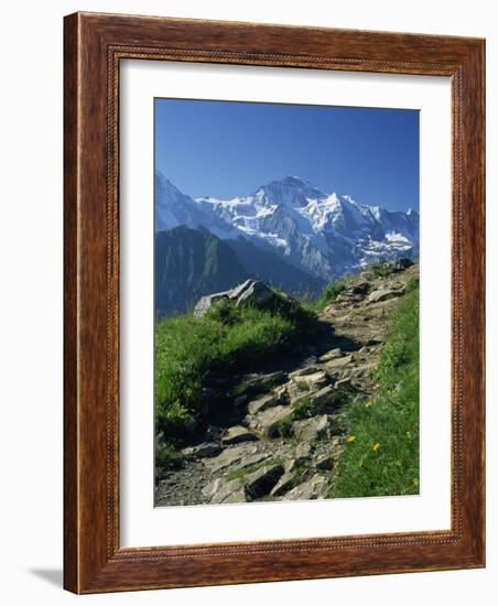 View Along Path to Snow Covered Summit of the Jungfrau, Schynige Platte, Bern, Switzerland-Tomlinson Ruth-Framed Photographic Print