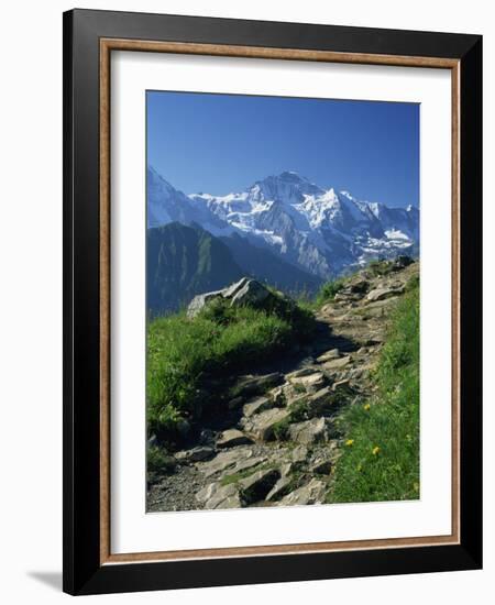 View Along Path to Snow Covered Summit of the Jungfrau, Schynige Platte, Bern, Switzerland-Tomlinson Ruth-Framed Photographic Print